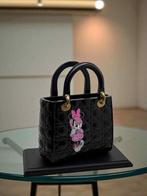 Art Stray-Nos -  Le Lady Dior détourné Minnie