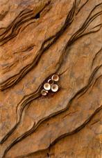 Riccardo Masini - sculptuur, Baikà  n.20 - Cinque fiori |