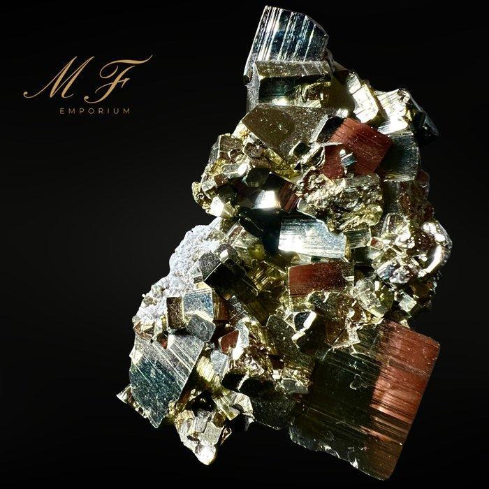 PREMIUM - pyriet ongelooflijk met kwarts Kristalcluster -, Verzamelen, Mineralen en Fossielen