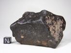 NWA onclassificeerd Sahara Steen Meteoriet - 283 g, Verzamelen, Mineralen en Fossielen