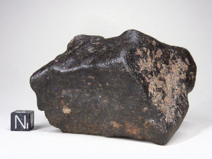 NWA onclassificeerd Sahara Steen Meteoriet - 283 g, Verzamelen, Mineralen en Fossielen
