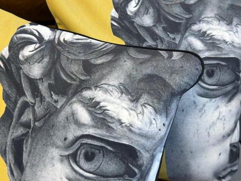 Coppia Federe Cuscino 40x40 cm en Velours – “Regards, Antiek en Kunst, Antiek | Tapijten, Tafelkleden en Textiel