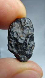 Meteorite. CVoxA3. Carbonaceous (NWA 17324). - 6.68 g - (1)
