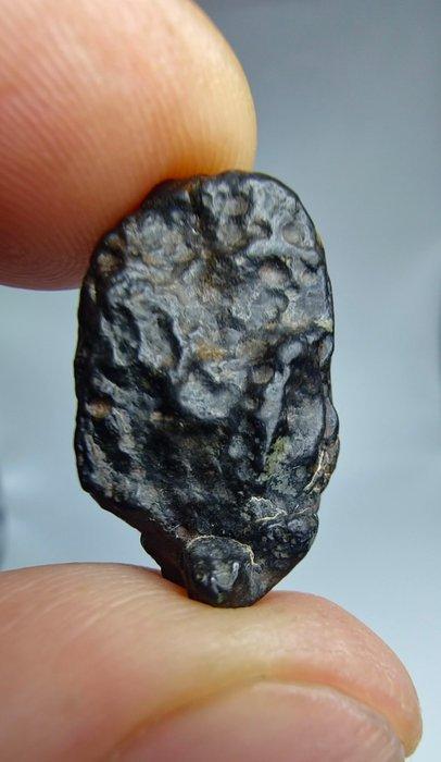 Meteorite. CVoxA3. Carbonaceous (NWA 17324). - 6.68 g - (1), Collections, Minéraux & Fossiles