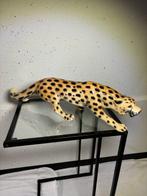 Statue, De Majesteit van Italië: Zeldzame keramieken panther