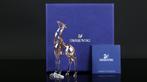 Figure - Swarovski - SCS - 2018 - Giraffe Baby (Boxed +