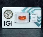 Opale de feu  - 2.35 ct - International Gemological, Nieuw