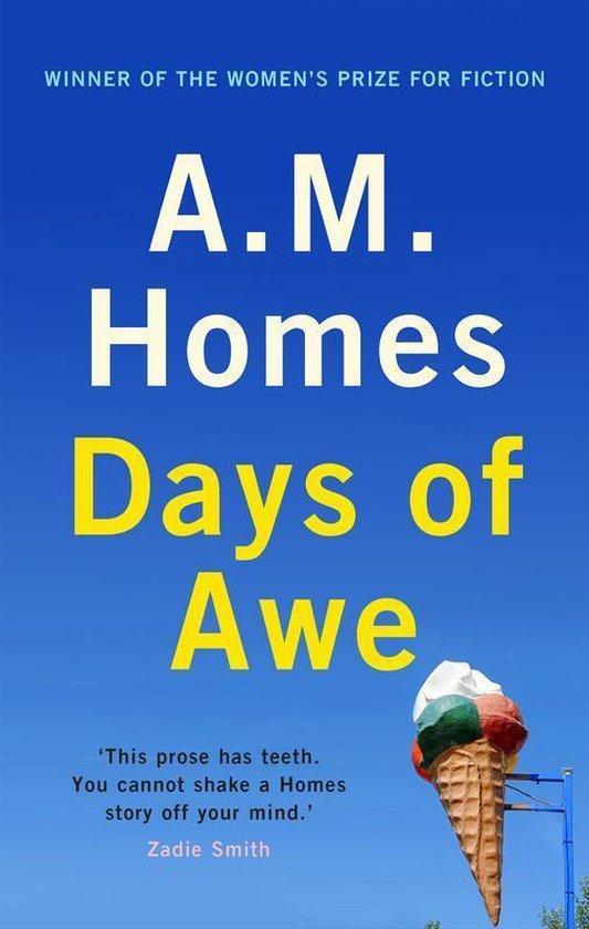 Days of Awe 9781847083265 A.M. Homes, Livres, Langue | Anglais, Envoi