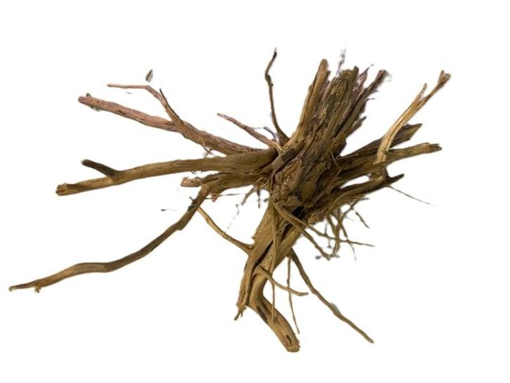 Driftwood Selected  DW44 - 40x20x30cm (Small drift wood), Dieren en Toebehoren, Vissen | Aquaria en Toebehoren, Plant(en), Steen of Hout