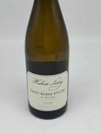 2020 Hubert Lamy En Remilly - Saint-Aubin 1er Cru - 1 Fles