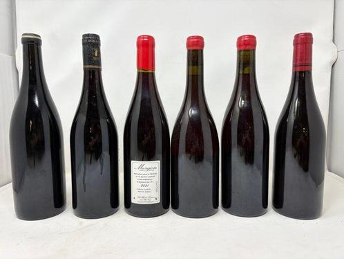2023 Bijou Jules Metras, 2021 La Petite Oseille Michael, Verzamelen, Wijnen