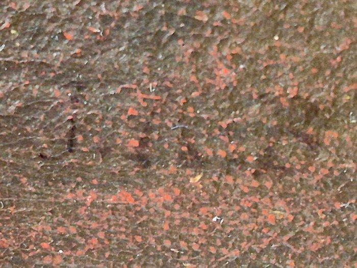 Johan Boeckhorst (1605-1668) - Abraham mit dem Messer, Antiek en Kunst, Kunst | Schilderijen | Klassiek