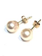 Zonder minimumprijs - Oorbellen - 18 karaat Geel goud Parel, Nieuw