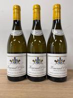 2022 Domaine Leflaive, Meursault 1er Cru Sous Le Dos DAne -, Nieuw