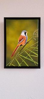 John Bijl (1951) - Baardman in het riet