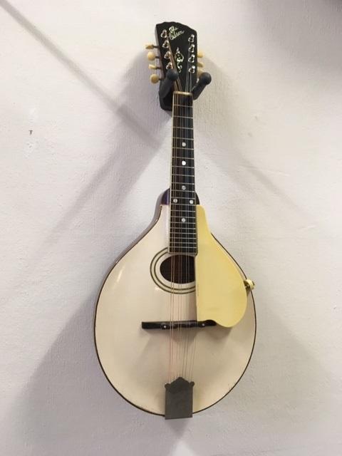 Gibson A3 mandoline ivoorwit anno 1920., Muziek en Instrumenten, Snaarinstrumenten | Mandolines, Gebruikt, Ophalen