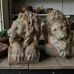 sculptuur, Teste Lion ferma libri 30 cm h - 30 cm - Paar