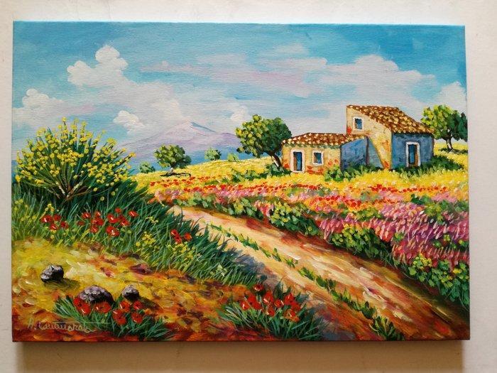 Antonino Cammarata (1962) - Campagna siciliana, Antiek en Kunst, Kunst | Schilderijen | Klassiek