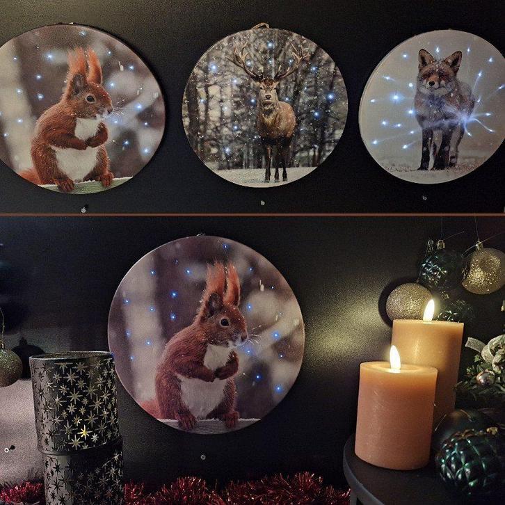 Cannvas Schilderij Rond -Led licht Vos-Eekhoorn-Rendier, Diversen, Kerst, Nieuw, Verzenden
