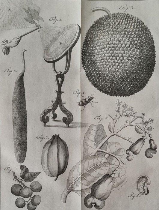 Noel Chomel en Jacques Alexandre de Chalmot - Vervolg op, Antiek en Kunst, Antiek | Boeken en Manuscripten