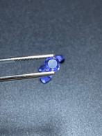 Tanzanite Pierre précieuse exceptionnelle ! Lot éblouissant, Collections, Minéraux & Fossiles