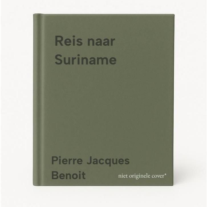 Reis naar Suriname 9789089899460 Pierre Jacques Benoit, Livres, Art & Culture | Arts plastiques, Envoi