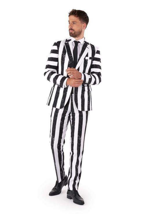 Beetlejuice Pak Heren OppoSuits, Vêtements | Hommes, Costumes de carnaval & Vêtements de fête, Envoi