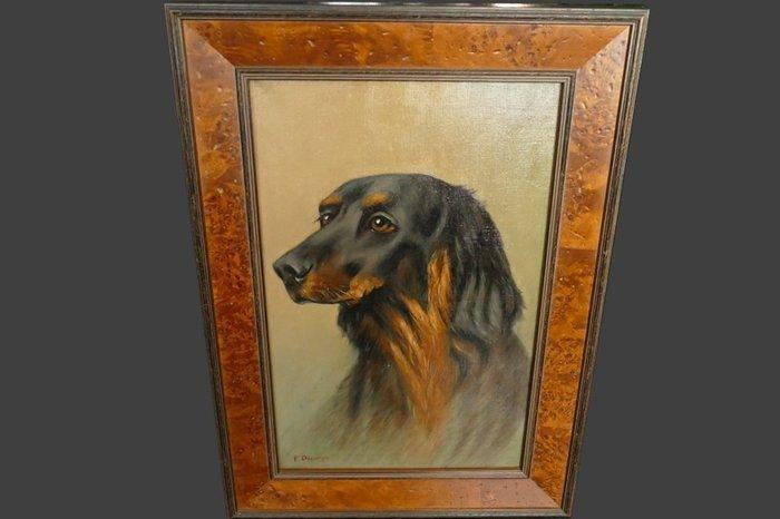 Decamps (XX) - Hondenkop, Antiek en Kunst, Kunst | Schilderijen | Klassiek