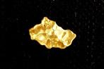 Goud Inheems, goudklompje- 0.44 g - (1), Collections, Minéraux & Fossiles