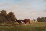 Hollandse school (XIX-XX) - Landschap met koeien in een