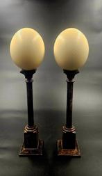 Autruche Œuf - struthio camelus ei Ostrich egg - 540 mm -