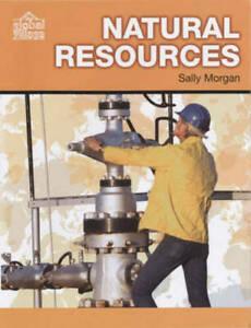 The global village: Natural resources by Sally Morgan, Livres, Livres Autre, Envoi