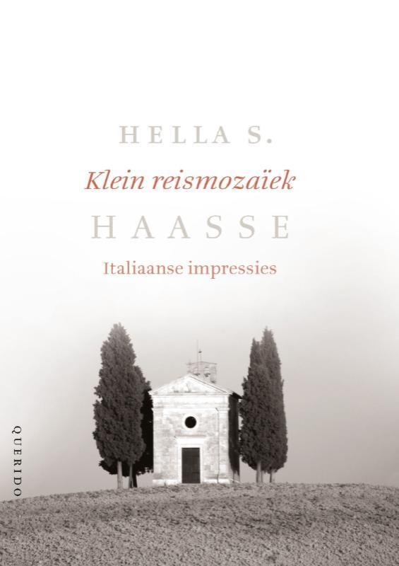 Klein reismozaïek 9789021443058 Hella S. Haasse, Boeken, Romans, Zo goed als nieuw, Verzenden