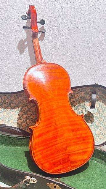 Labelled Selva Giuseppe - - Viool - Onbekend - 1960 (Zonder beschikbaar voor biedingen
