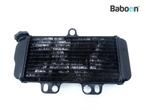 Radiateur Yamaha TDR 125 1997-2002 (5AE 5AN 4GX5-6-7-8-9-A), Motoren, Verzenden, Nieuw