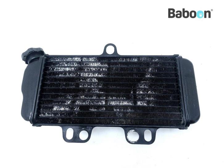 Radiateur Yamaha TDR 125 1997-2002 (5AE 5AN 4GX5-6-7-8-9-A), Motoren, Onderdelen | Yamaha, Verzenden