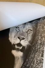 Marco Simoni -  20 hours f