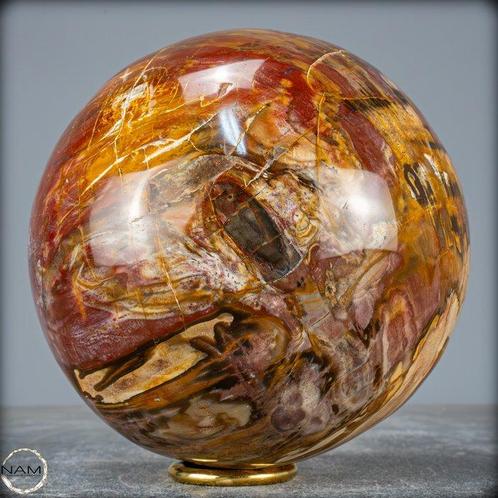 Natuurlijke versteende houten bal van Madagaskar- 3989.17 g, Verzamelen, Dierenverzamelingen