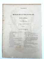 Matériel pédagogique - Nicolas-Henri Jacob & Jean Baptiste