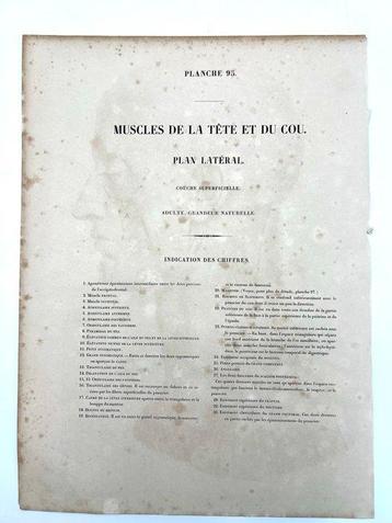 Matériel pédagogique - Nicolas-Henri Jacob & Jean Baptiste
