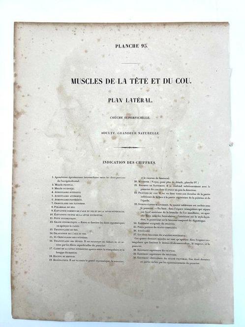 Matériel pédagogique - Nicolas-Henri Jacob & Jean Baptiste, Antiek en Kunst, Antiek | Wandborden en Tegels