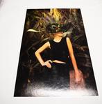 Viet Ha Tran - Cactus lady - No Reserve Price