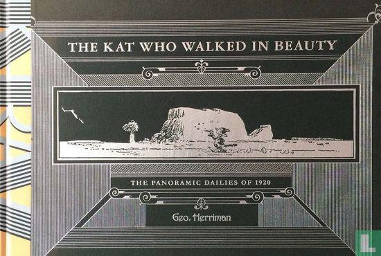 Krazy Kat - The Kat who walked in beauty - 2008, Boeken, Stripverhalen, Zo goed als nieuw, Eén stripboek, Verzenden