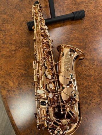 Ida Maria Grassi - ACAS300 G Sax Alto Ottone Placcato Oro -