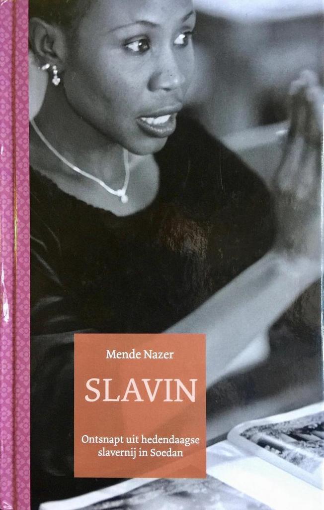 Slavin 9789085641667 D. Lewis, Boeken, Literatuur, Zo goed als nieuw, Verzenden