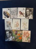 Belgique 1990/1993 - Collection de cartes maximales (OBP/COB, Timbres & Monnaies