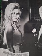 Bildarchiv Engelmeier - Brigitte Bardot and Anthony Perkins,