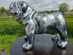 Beeld, statue of an English bulldog silver brons - 41 cm -