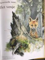 Speurtocht naar het Vosje (prentenboek) 9789041222794, Verzenden, Gelezen, Pierre coudonne