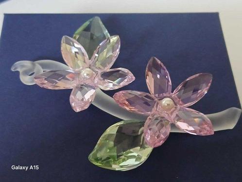 Swarovski, Keiko Arai - Beeldje - Jasmine - 917664 - Box +, Antiek en Kunst, Curiosa en Brocante